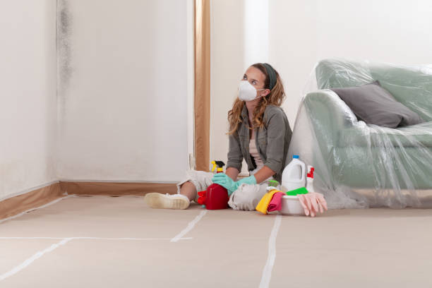 Reliable Mold Inspection And Testing contractor in Carrsville, VA by Mold Remediation HQ