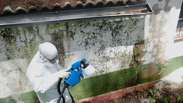Top rated local Mold Inspection And Testing specialists in Carrsville, VA